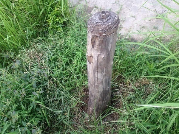 ... Và nằm trơ trọi bên lề đường.