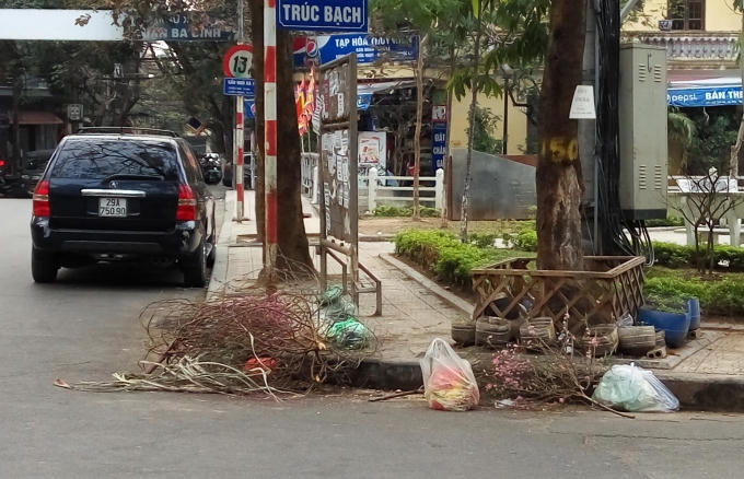 Hết Tết đ&agrave;o c&agrave;nh vẫn h&uacute;t kh&aacute;ch