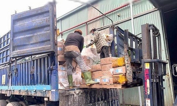 Tiêu hủy 30.399 kg thực phẩm đông lạnh nhiễm vi sinh vật