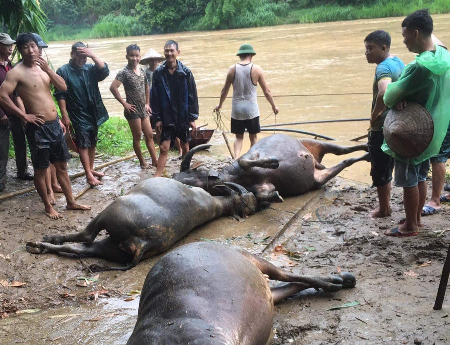 z4518188557569_f8a1d5478276b53e1f6e1139df0d8747