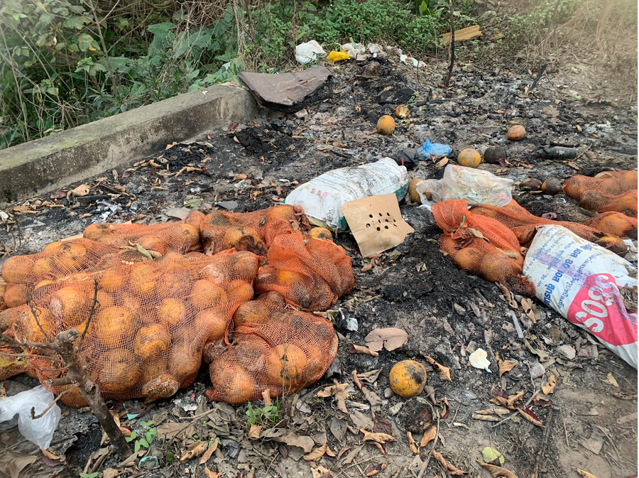 Khu vực qua Khoa Chăn Nuôi (thuộc Học viện Nông nghiệp Việt Nam), những bao tải bưởi và rác các loại vứt ngổn ngang, đốt cháy nham nhở.