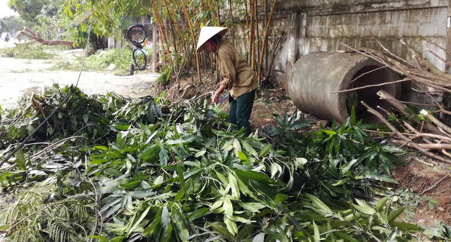 Sau b&atilde;o, người d&acirc;n th&agrave;nh Vinh ra đường