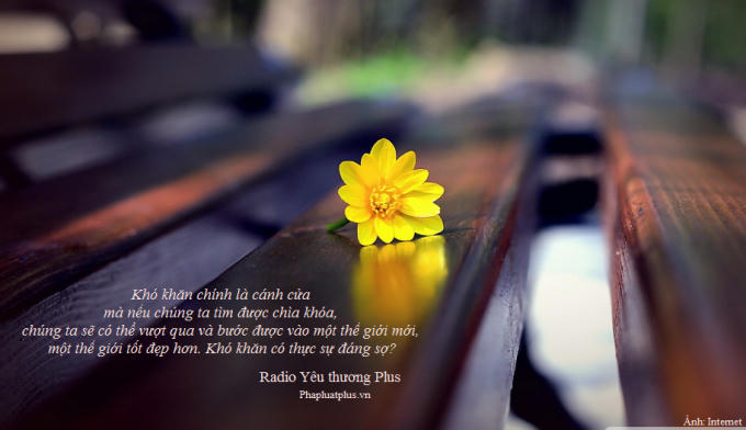 Radio Y&ecirc;u thương Plus số 76: B&agrave;i học th&agrave;nh bại từ hươu cao cổ
