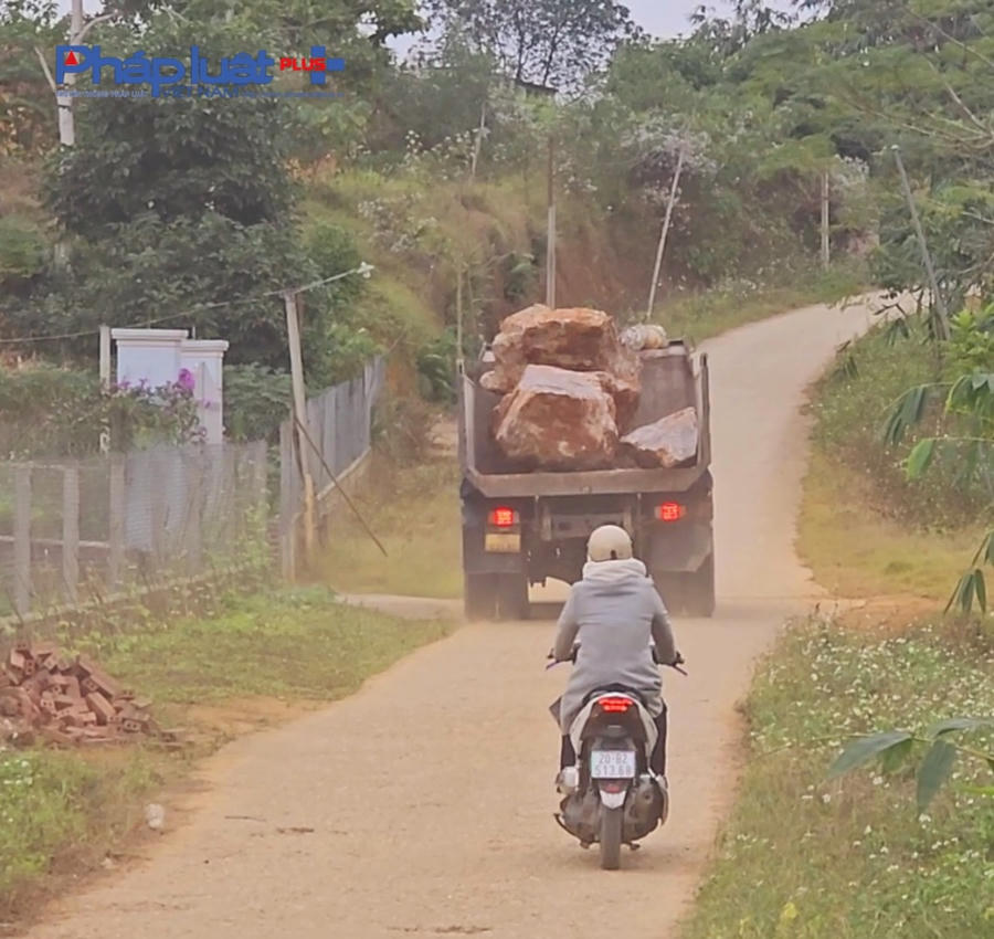 z4997013402374_dc9e498f921719b1002df4564a3826b3