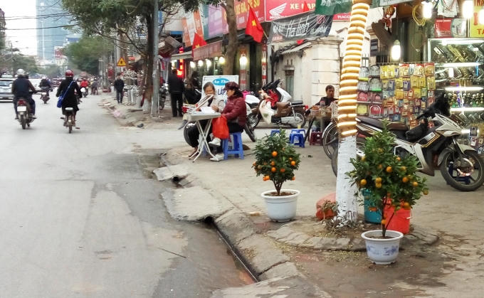 Những chậu quất để bàn được tưới nước để dùng thêm một thời gian.