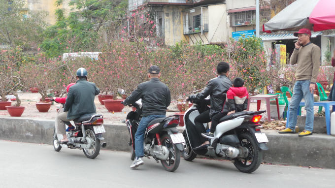 Trên phố Nguyên Hồng, người dân đã sắm sửa mua những cành đào về phục vụ Tết Nguyên đán.
