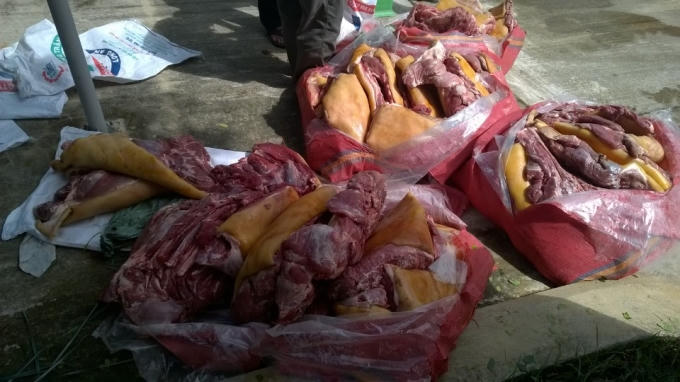 438 kg thịt heo đang bốc mùi hôi thối