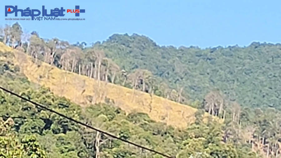 z3855799686582_1ec369d6b1607826d5472a54d16f8cd6