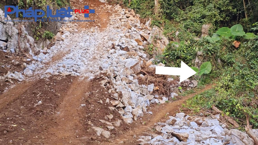 z4969284193472_2dddfb208257e9c931a438f97aef3f57