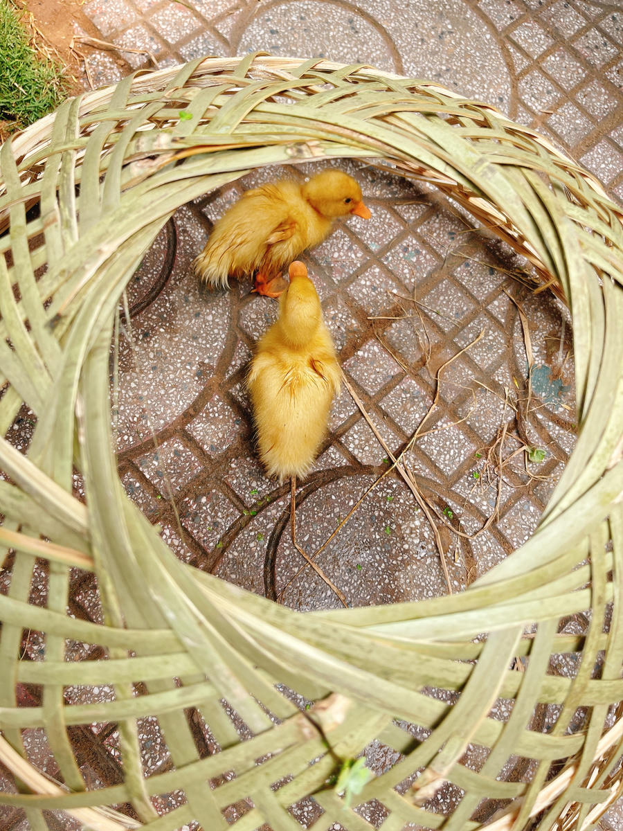 IMG_1679626710801_1679628915468