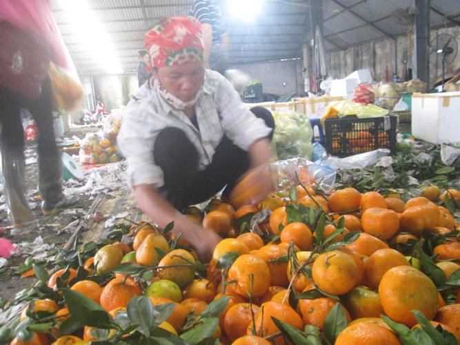 Nhà bán lẻ lựa chọn hoa quả