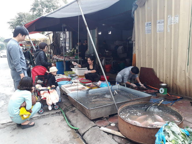 Buôn bán và làm thịt cá, gà ngay cạnh các căn hộ - Ảnh: QUANG THẾ