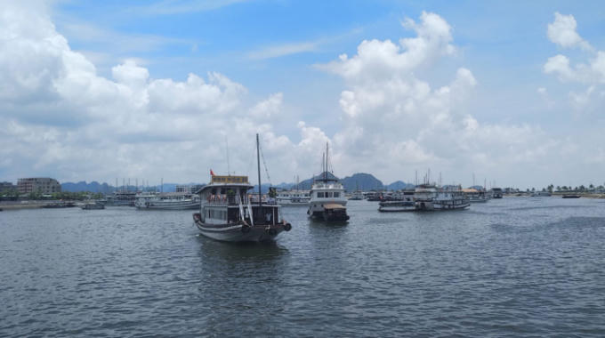 Các tàu du lịch tham quan vịnh Hạ Long Ảnh: TRỌNG ĐỨC