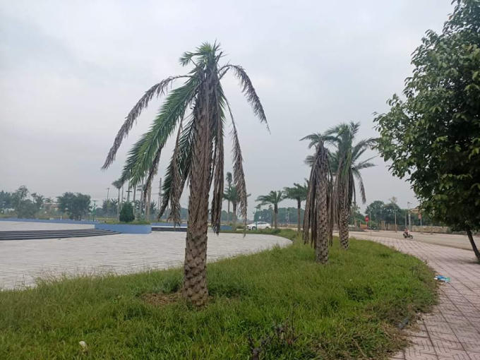 received_2939710613026020.