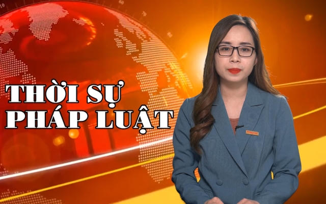 Bản tin Pháp luật: Những vụ đại án được đưa ra xét xử năm 2021