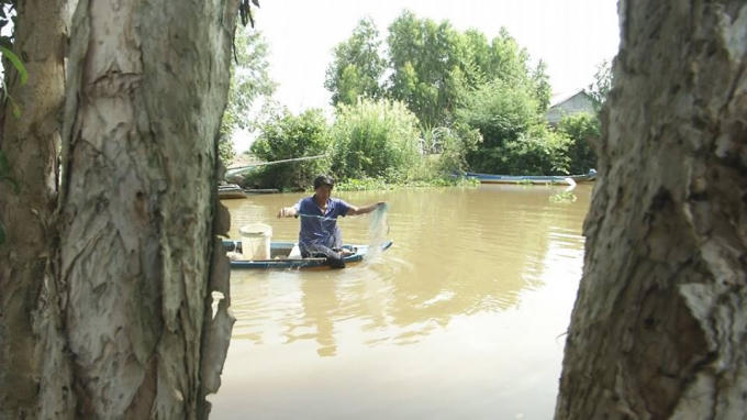 Hằng ngày anh đi giăng lưới để kiếm từng con cá, con tôm lo ăn ngày hai bữa cho cả nhà.