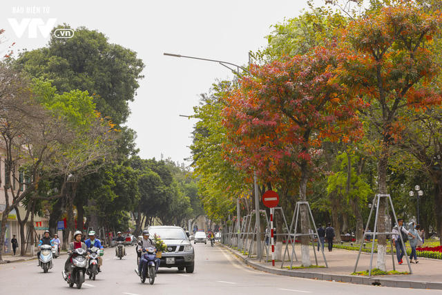 Phố phường trở nên sinh động hơn.