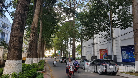 Một góc trong nội ô TP Trà Vinh