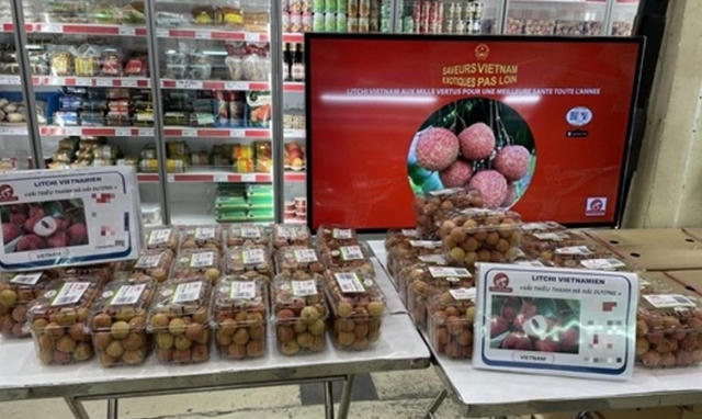 Xuất khẩu nông sản: Cần tận dụng dụng tốt “giấy thông hành”