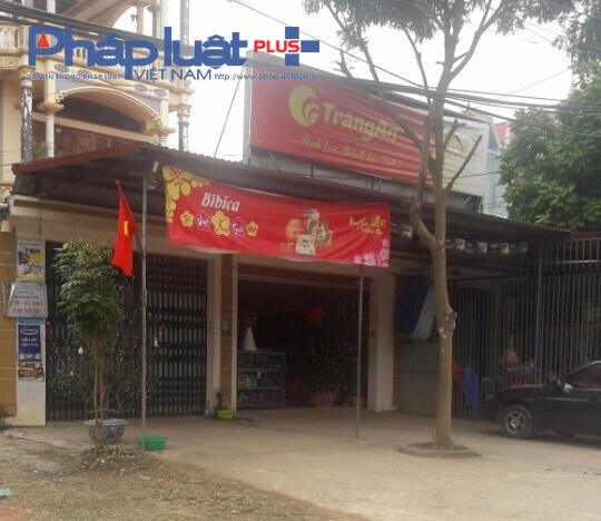 Cây quất 2 lần "thoát nạn" tại đây.