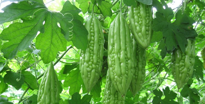 Tác dụng phụ