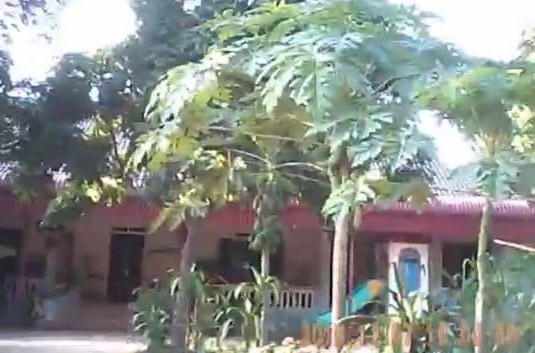 Điểm tập kết bà bầu ở huyện Quốc Oai.