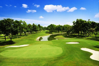 96 sân golf vẫn xà xẻo đất nông nghiệp