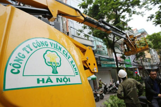 cong-ty-cay-xanh-ha-noi-7-compressed