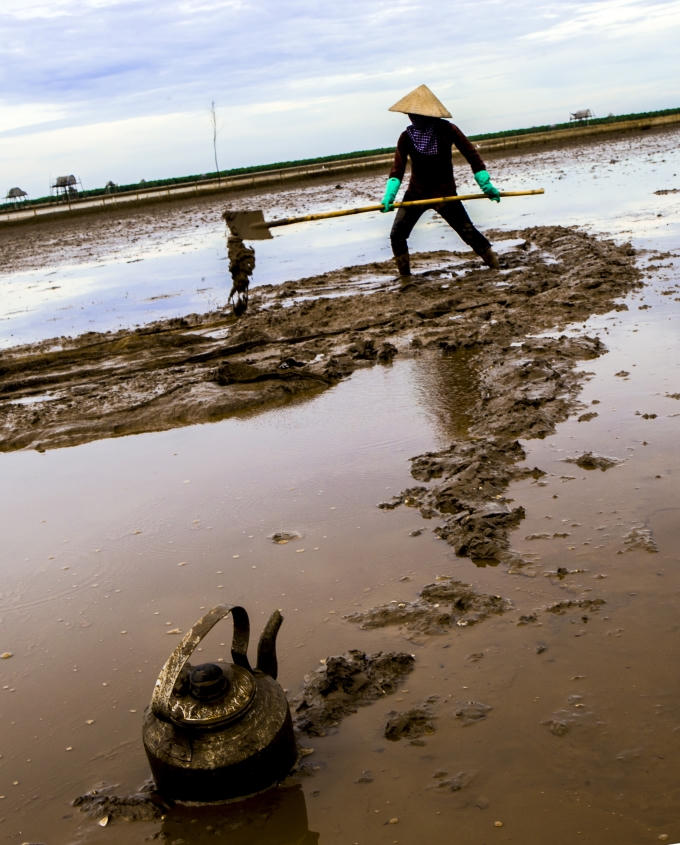Ấm ch&egrave; tươi bị bỏ qu&ecirc;n.