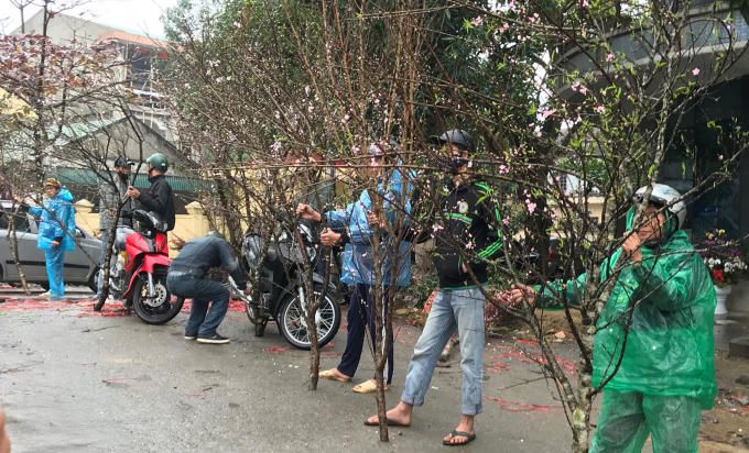 Nười dân đội mưa, chịu cái lạnh đến tê người để "tiếp thị" đào tết.