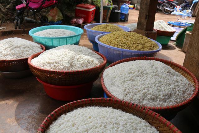 Đậu xanh, nếp Bắc được chuẩn bị từ nhiều ngày trước để gói bánh.