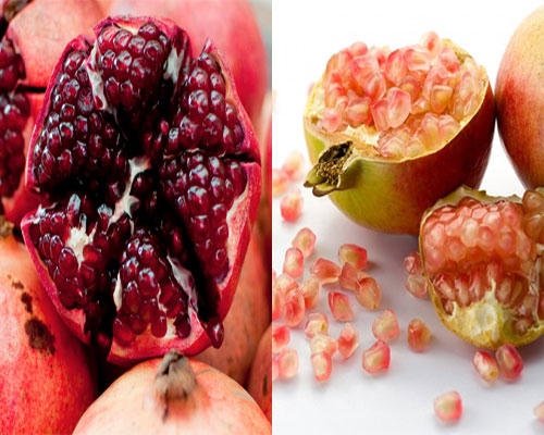 Lựu Trung Quốc có hạt màu đỏ, to đều, lựu Việt Nam có hạt nhỏ và màu nhạt.