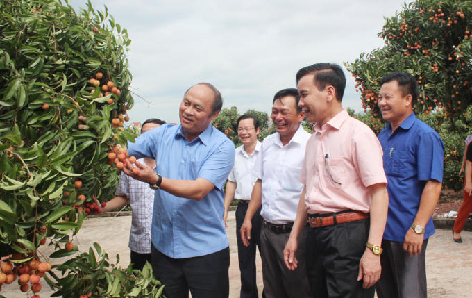 Ông Nguyễn Văn Linh - Chủ tịch UBND tỉnh Bắc Giang (áo xanh bên trái)