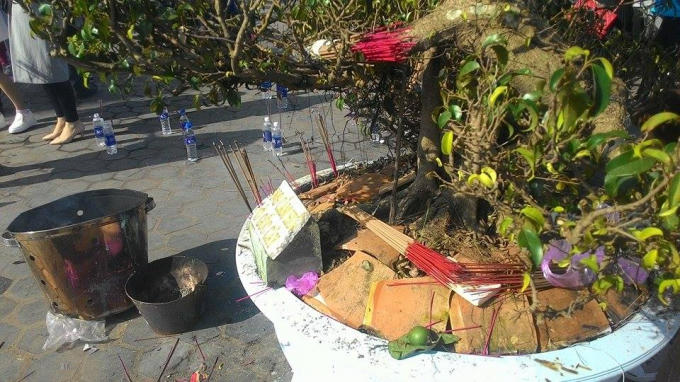 Nhiều người dân thắp cả hương tại nhưng gốc cây cảnh trong khuôn viên Tượng Phật Quan âm Bồ Tát dù ở đây có đặt bảng