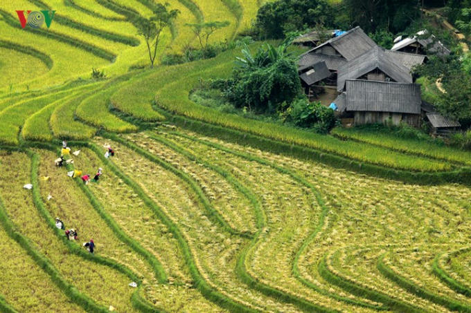 Do khó khăn về địa hình, nên đa phần diện tích đất nông nghiệp ở đây chi được bà con gieo cấy một vụ.