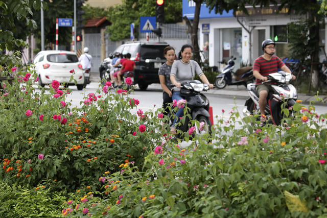 Tuyến phố Lê Trọng Tấn được mở rộng từ năm 2016 và được coi là tuyến đường kiểu mẫu của thủ đô Hà Nội.