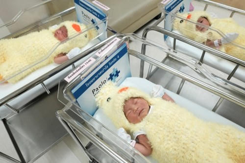 Vào dịp năm mới 2017, bệnh viện này cũng từng mặc trang phục gà con cho các bé.