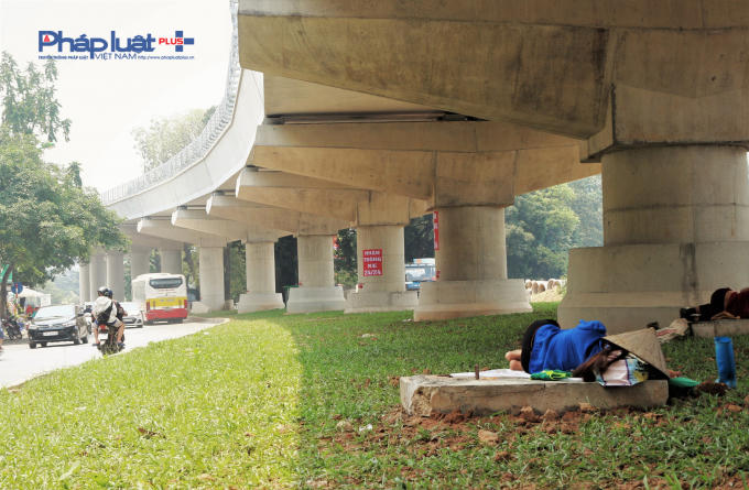 Bóng râm tại những khu vực nằm dưới chân tuyến đường sắt trên cao trở thành địa điểm "nghỉ ngơi".