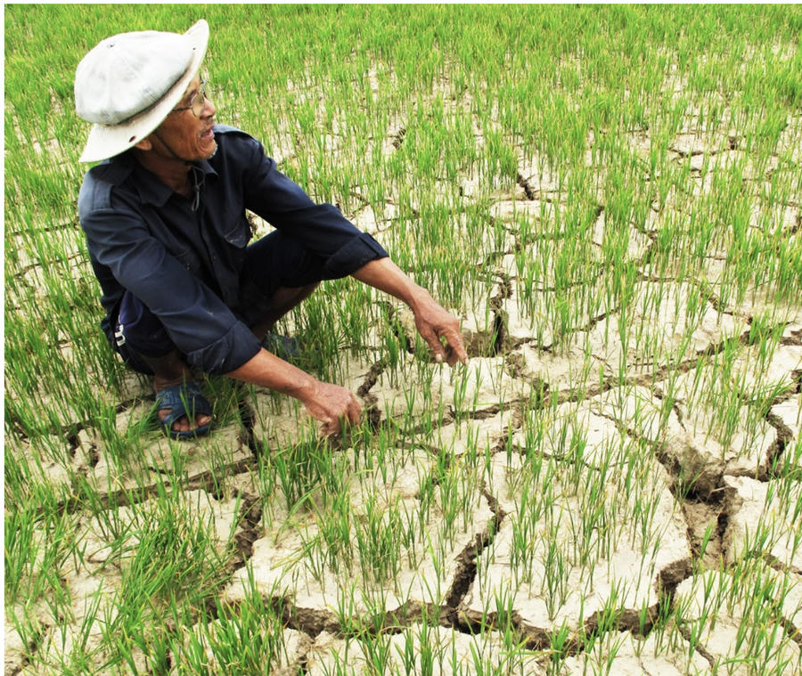 hanhan_nguonDantri