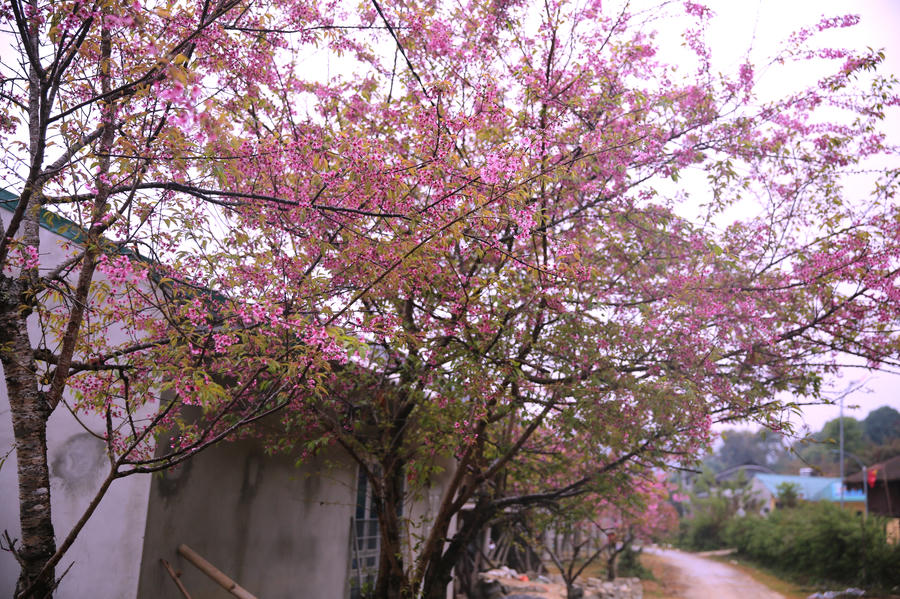 base64-16708131563391604381550