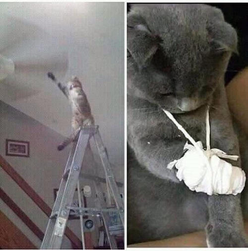Cái giá của lỡ lầm.