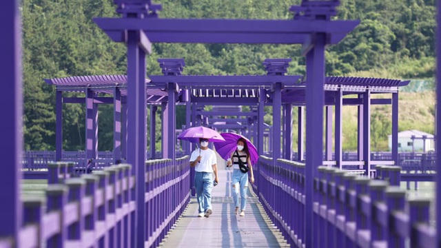 Hầu hết du khách đến bằng phà và sau đó đi bộ qua cây cầu màu tím này để vào thị trấn.