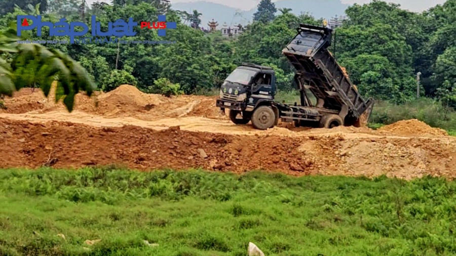 Hàng nghìn m2 đất nông nghiệp vẫn đang tiếp tục bị xâm lấn do đổ đất san lấp.