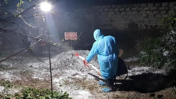 Thanh Hóa: Xuất hiện ổ dịch tả lợn châu Phi thứ hai