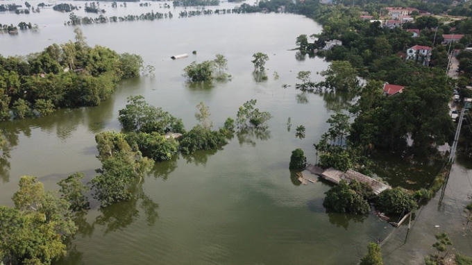 Rất nhiều trại chăn nuôi của một số hộ gia đình đã bị nước nhấn chìm gần hết nóc nhà.