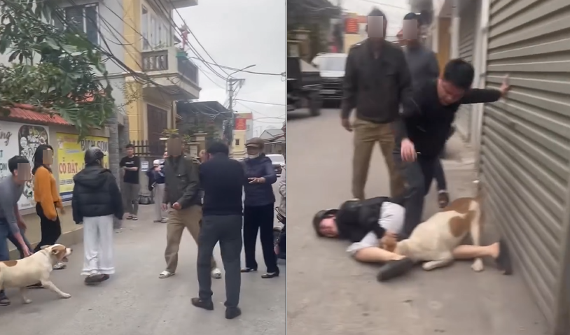 Thả chó Pitbull tấn công người tại ngõ nhỏ: Chủ nuôi đối mặt trách nhiệm pháp lý. (Ảnh cắt từ video)