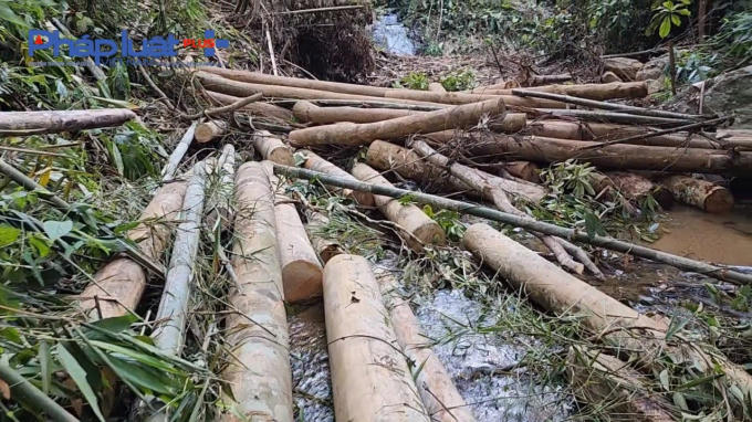 z3820618514642_f3caac47fb8c1e3cc007e59af39b745f-1656-0609.