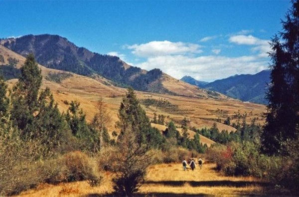 Bhutan là đất nước có mức độ ô nhiễm môi trường cực kì thấp, các cánh rừng nguyên sinh đến nay vẫn còn được bảo tồn và lưu giữ rất nhiều ở đây. Ảnh: internet.