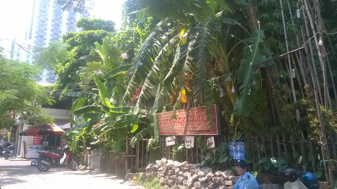 Trong khi Bộ Y tế kêu gọi người dân dọn dẹp chỗ ở, phát quang bụi rậm, diệt bọ gậy, lăng quăng, diệt muỗi thì nơi đây, cây cối mọc um tùm là một trong những nơi "lý tưởng" để muỗi sinh sống.