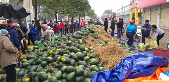 86355384_1043866415971974_1006429850996572160_n